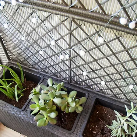 Mid Century Modern - Atelier Appartamento